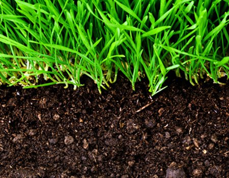 EcoGro-SuperSoil-1-2